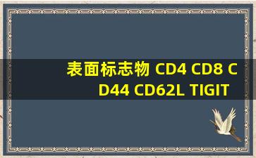 表面标志物 CD4 CD8 CD44 CD62L TIGIT